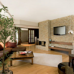 Apartment Sofia II